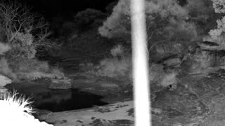 Still 2 from this detection