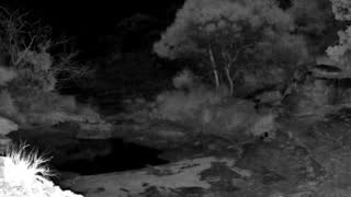 Still 1 from this detection