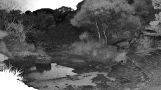 Still 1 from this detection