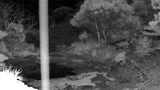 Still 3 from this detection
