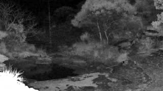 Still 3 from this detection
