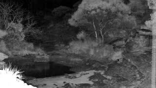 Still 1 from this detection