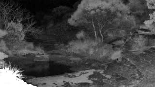 Still 2 from this detection