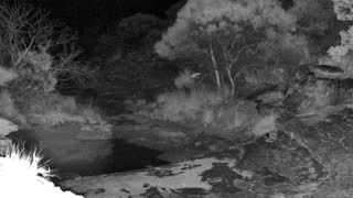 Still 2 from this detection