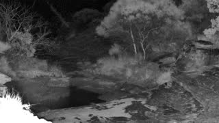 Still 2 from this detection