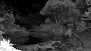 Still 2 from this detection
