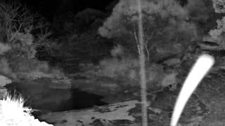 Still 3 from this detection