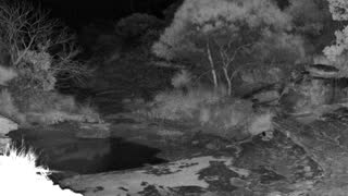 Still 2 from this detection
