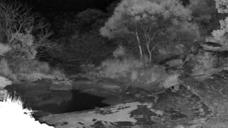 Still 3 from this detection