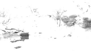 Still 1 from this detection