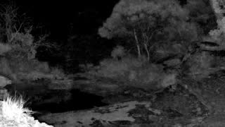 Still 2 from this detection