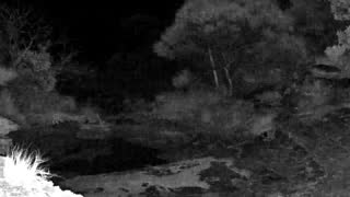 Still 2 from this detection