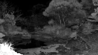 Still 3 from this detection