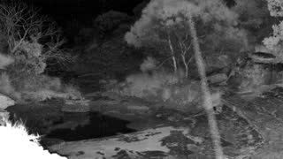 Still 2 from this detection