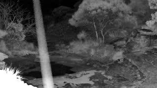 Still 3 from this detection