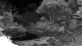 Still 1 from this detection