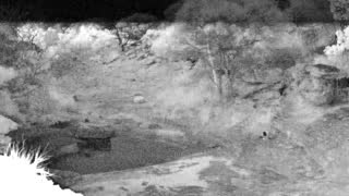 Still 2 from this detection