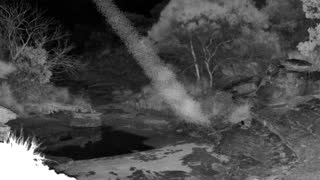 Still 3 from this detection