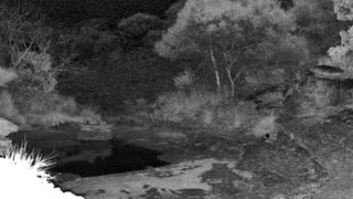Still 1 from this detection