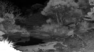 Still 1 from this detection