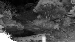 Still 3 from this detection