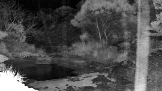 Still 2 from this detection