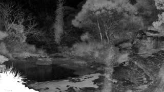 Still 2 from this detection