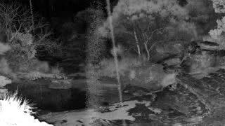 Still 1 from this detection