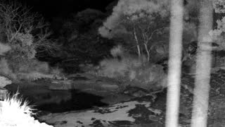 Still 3 from this detection
