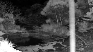Still 2 from this detection