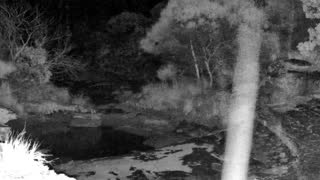 Still 3 from this detection