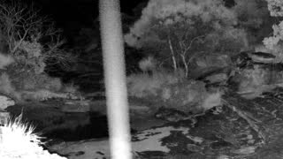 Still 3 from this detection