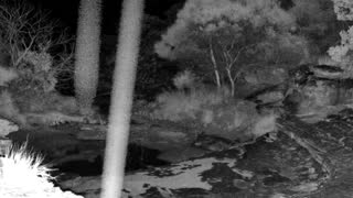 Still 1 from this detection