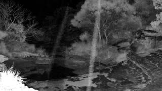 Still 2 from this detection