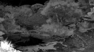 Still 1 from this detection