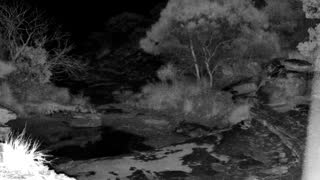 Still 3 from this detection
