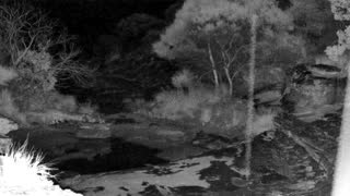 Still 2 from this detection