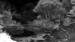 Still 3 from this detection