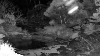 Still 1 from this detection