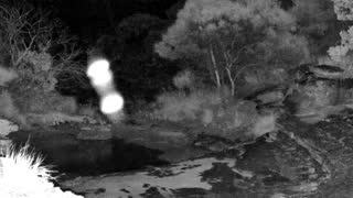 Still 2 from this detection