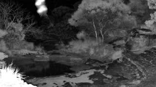 Still 2 from this detection
