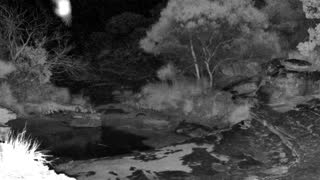 Still 3 from this detection