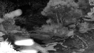 Still 1 from this detection