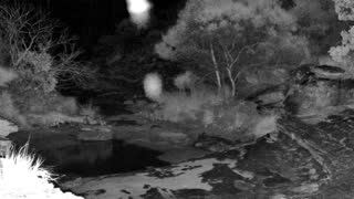 Still 2 from this detection
