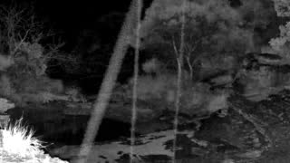 Still 2 from this detection