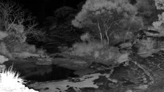Still 1 from this detection