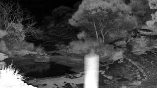 Still 1 from this detection