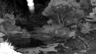 Still 2 from this detection