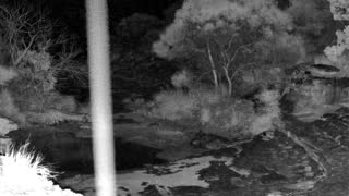 Still 1 from this detection