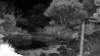 Still 2 from this detection